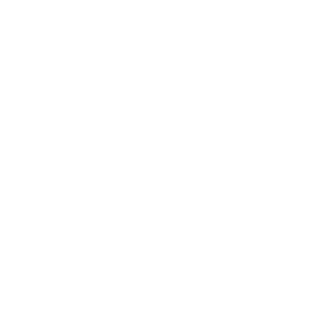custom-software-solutions-icon