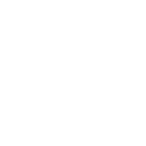 pwa-development-icon